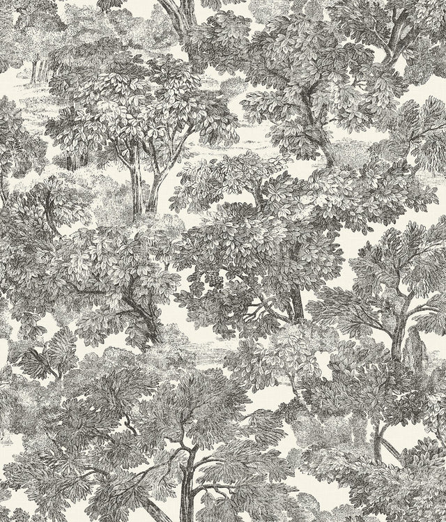 Spinney Black Toile Wallpaper with Botanical Trees Motif - Chesapeake 4134-72558