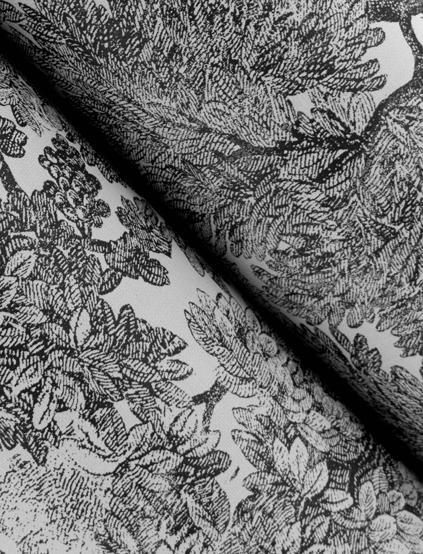 Spinney Black Toile Wallpaper with Botanical Trees Motif - Chesapeake 4134-72558