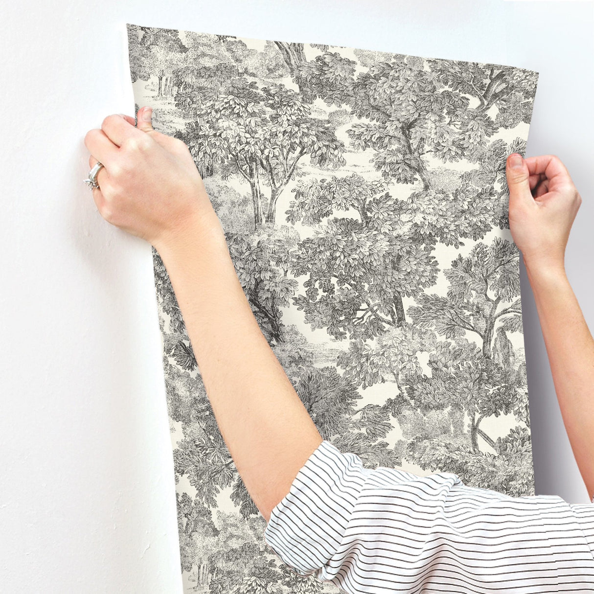Spinney Black Toile Wallpaper with Botanical Trees Motif - Chesapeake 4134-72558