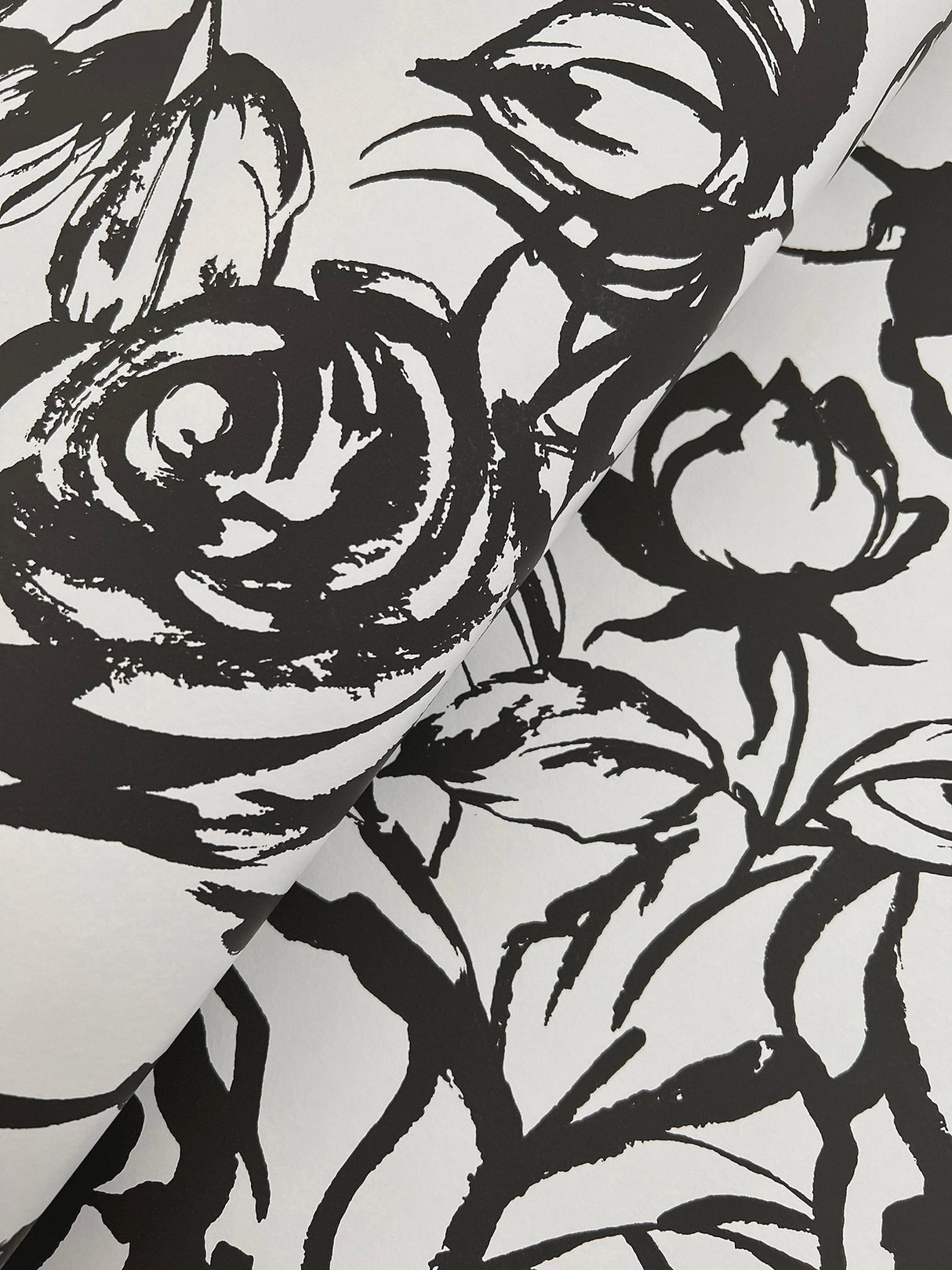 Nelda Black Rose Wallpaper with Modern Botanical Rose Pattern - A-Street Prints 4135-72707