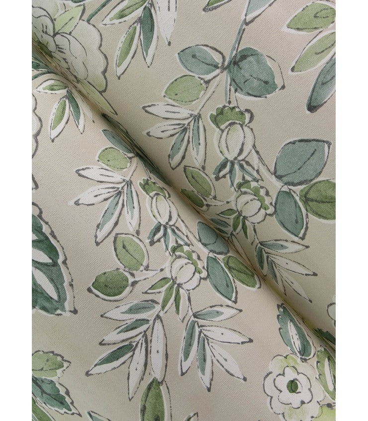 Begonia Sea Green by Chesapeake Floral Trail Wallpaper- Brewster 4148-27424