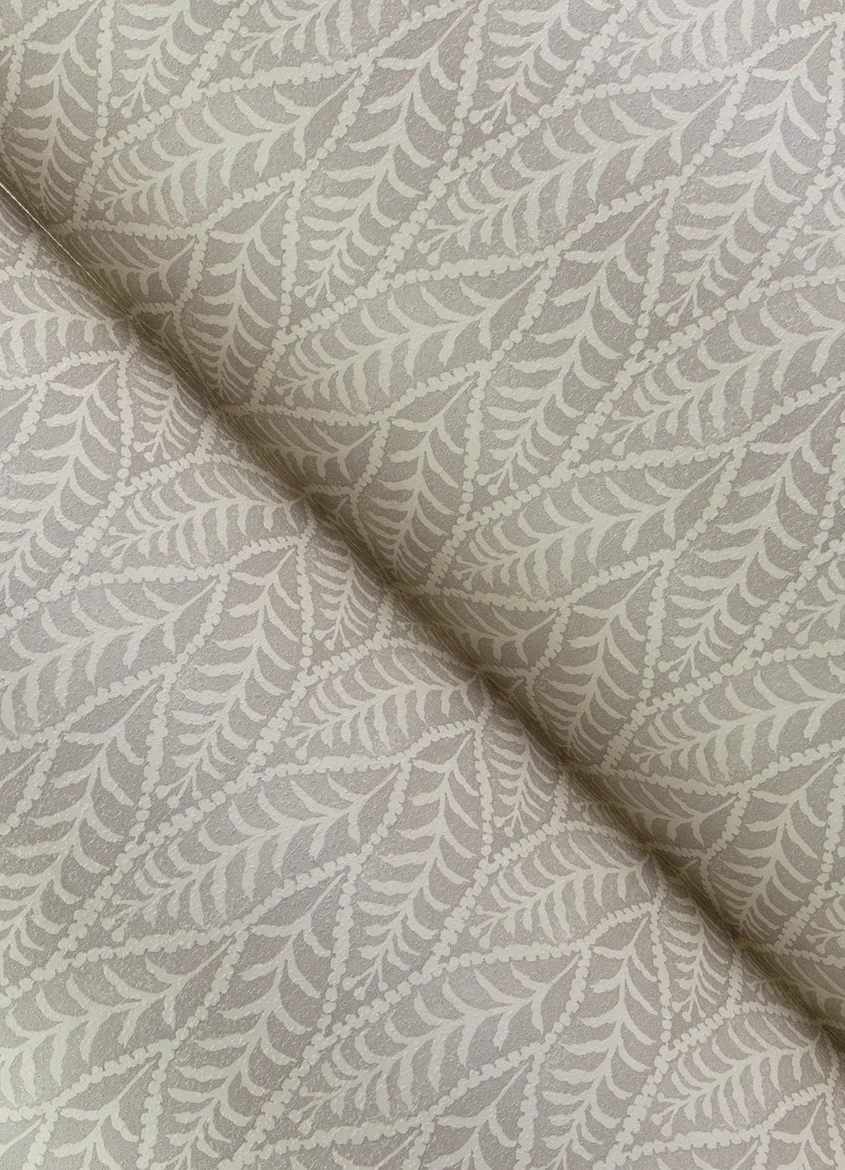 Coleus Grey by Chesapeake Botanical Leaves Wallpaper – Brewster Home Fashions 4148-27471