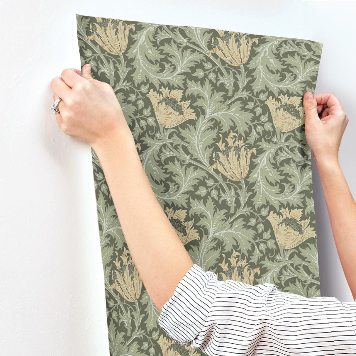 Anemone Moss Floral Trail Wallpaper with Botanical Floral Trail Pattern - A-Street Prints 4153-82004