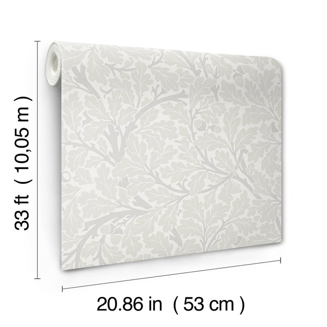 Oak Tree Dove Leaf Wallpaper in Grey Botanical Leaves - A-Street Prints 4153-82026