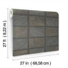 Bronson Slate by Scott Living Topography Wallpaper- A-Street Prints 4155-72801