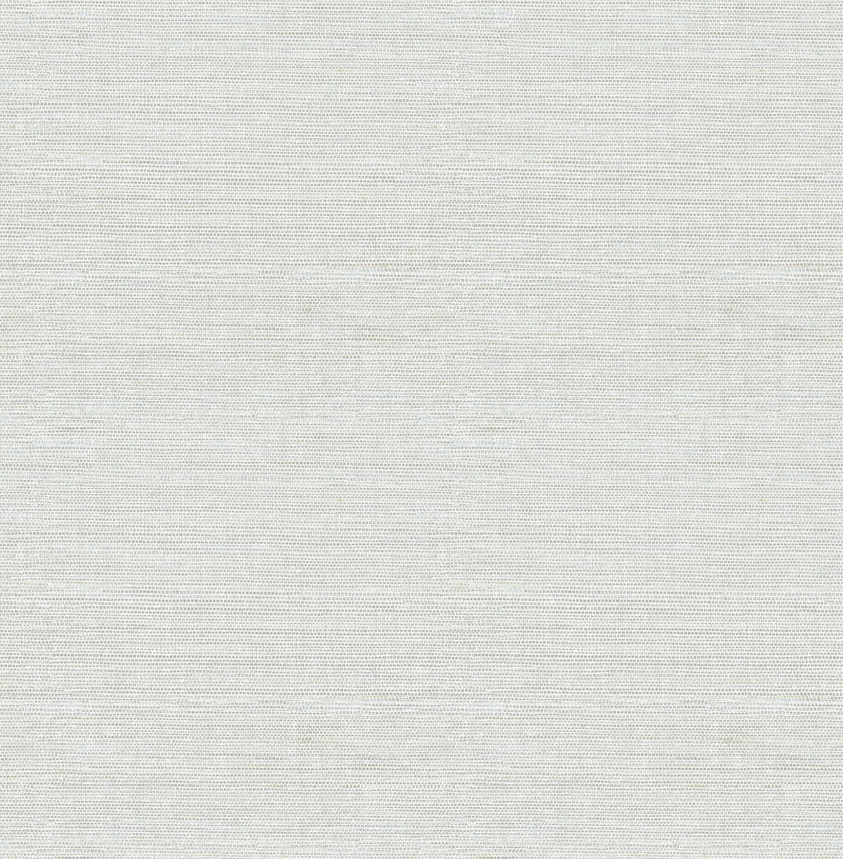 Agave Light Blue Faux Grasscloth Wallpaper with Raised Ink Texture - Advantage 4157-24278