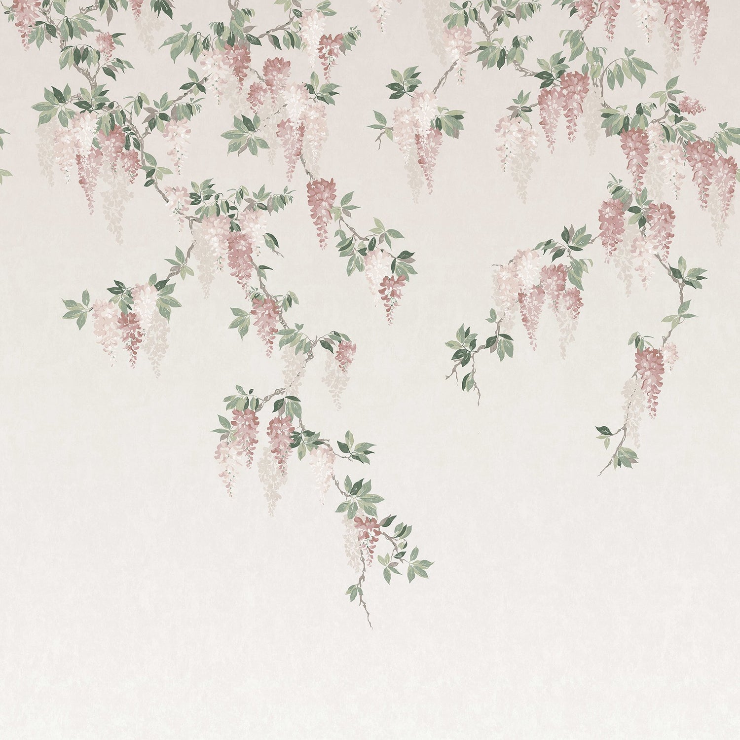 Wisteria Blush Wallpaper Mural with Whimsical Floral Wisteria Pattern - Advantage 4164-50939