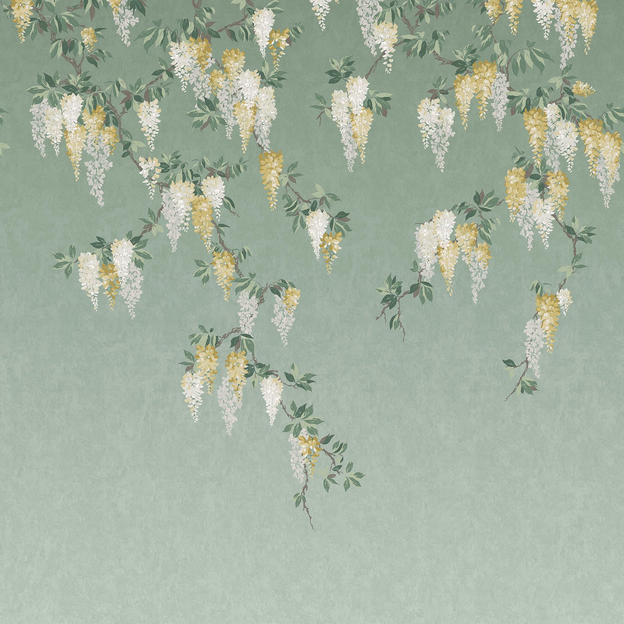 Wisteria Green Wall Mural with Ethereal Floral Ombre- Advantage 4164-50940
