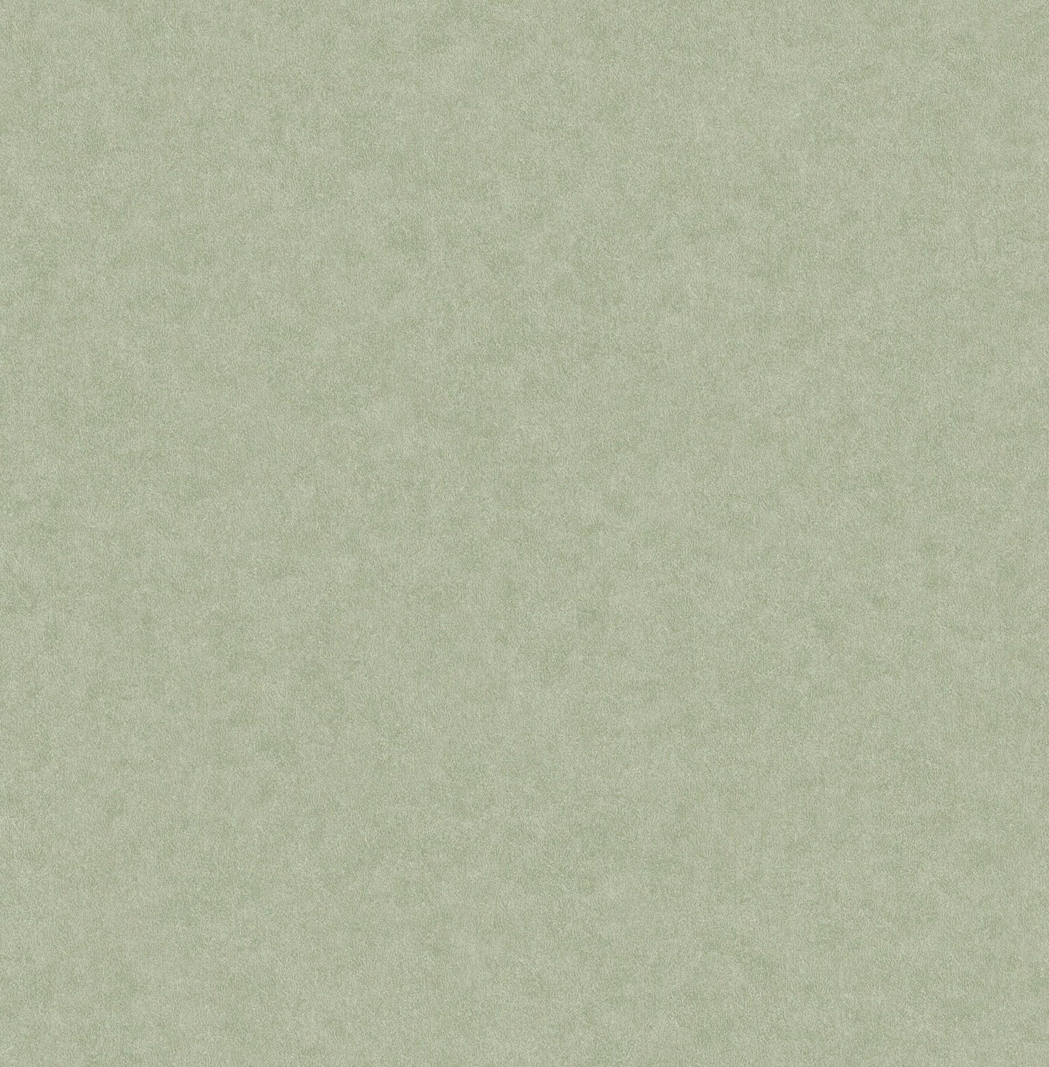 Heritage Green Plain Wallpaper with Textured Solid Pattern - Advantage 4164-M1837