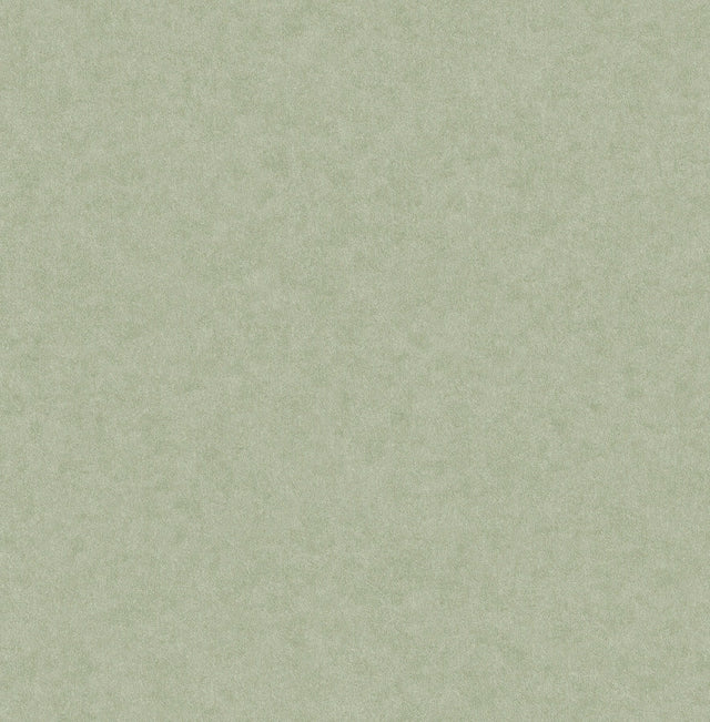 Heritage Green Plain Wallpaper with Textured Solid Pattern - Advantage 4164-M1837