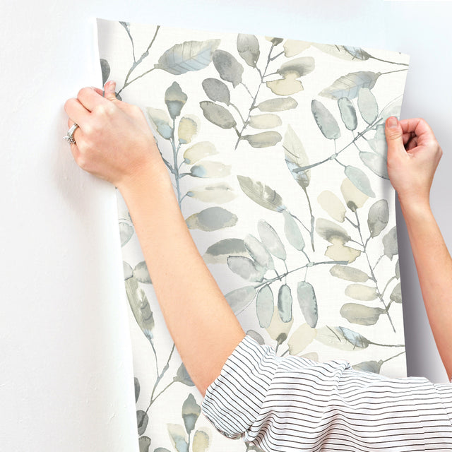 Pinnate Grey Leaves by Chesapeake Botanical Wallpaper – Brewster Home Fashions 4169-13905