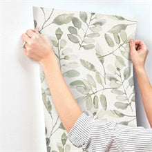 Pinnate Green Leaves by Chesapeake Botanical Wallpaper – Brewster Home Fashions 4169-13911