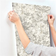 Thicket Charcoal by Chesapeake Forest Wallpaper – Brewster Home Fashions 4169-83110