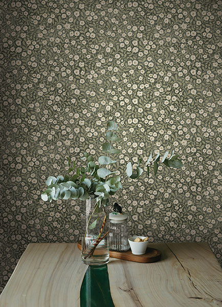 Poppy Trail Green by Chesapeake Floral Wallpaper – Brewster 4169-83132