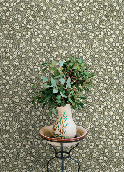 Poppy Trail Green by Chesapeake Floral Wallpaper – Brewster 4169-83132