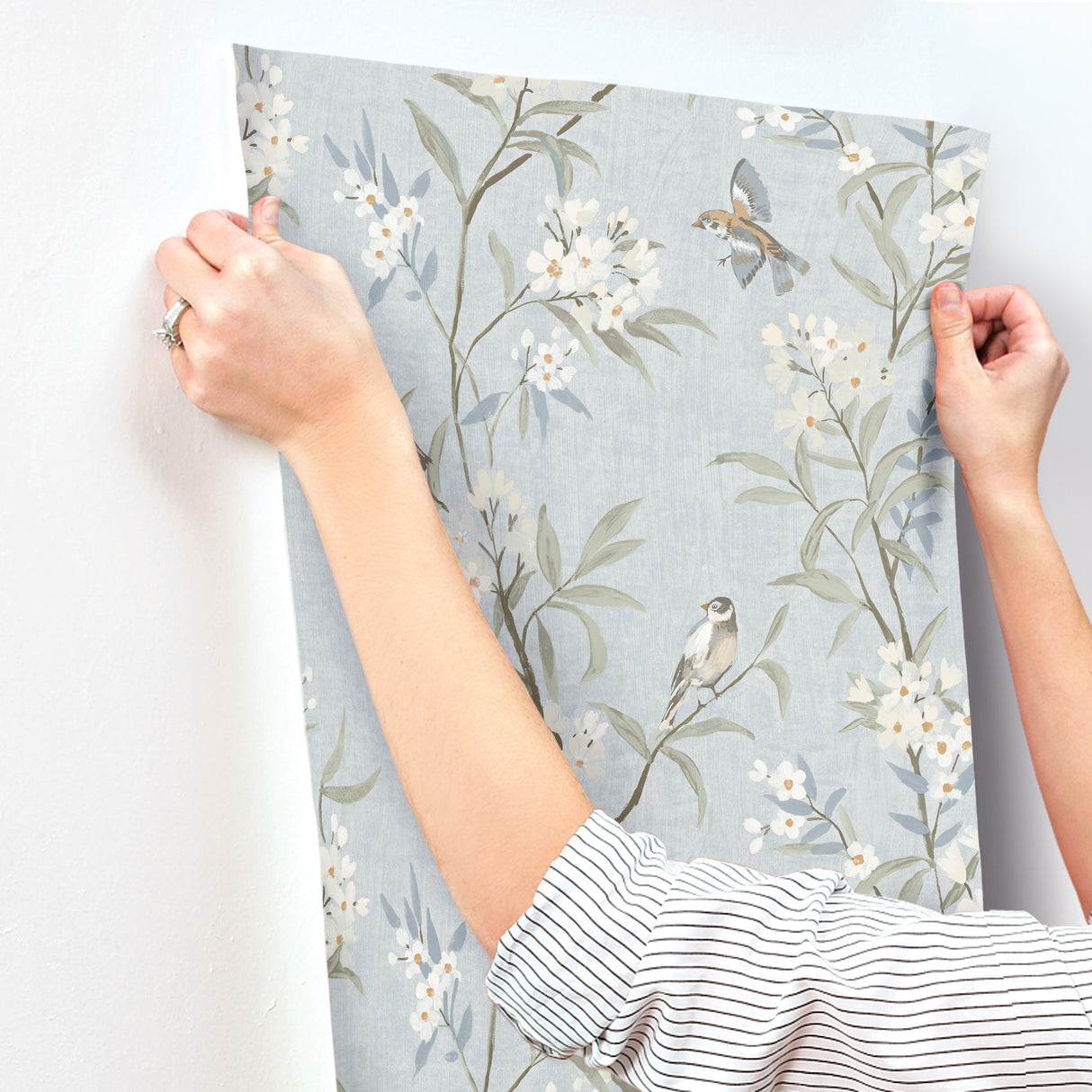 Tea Olive Light Blue by Chesapeake Finch Frolic Wallpaper – Brewster Home Fashions 4169-83140