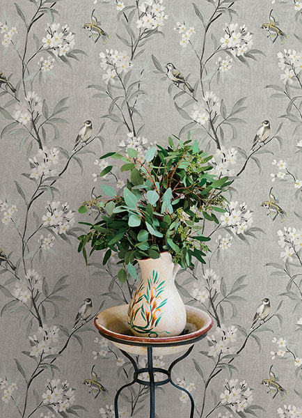 Tea Olive Gray by Chesapeake Finch Frolic Wallpaper – Brewster Home Fashions 4169-83141