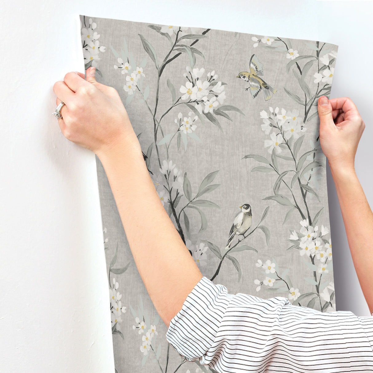 Tea Olive Gray by Chesapeake Finch Frolic Wallpaper – Brewster Home Fashions 4169-83141