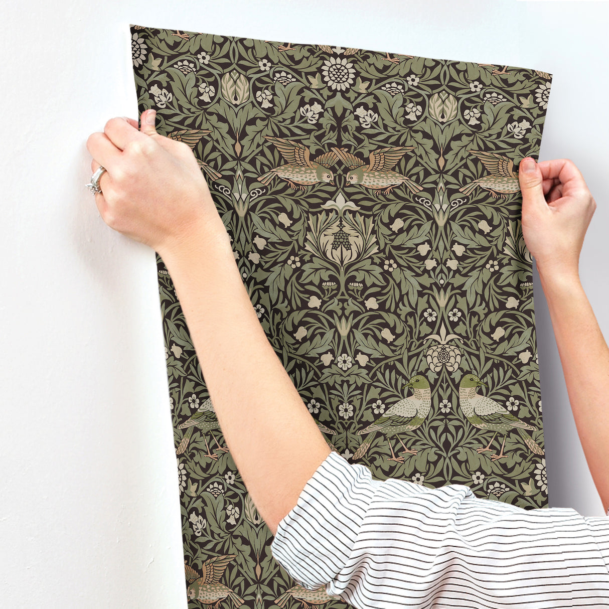 Bird Brown by A-Street Prints Floral Thicket Wallpaper – Brewster Home Fashions 4171-82064