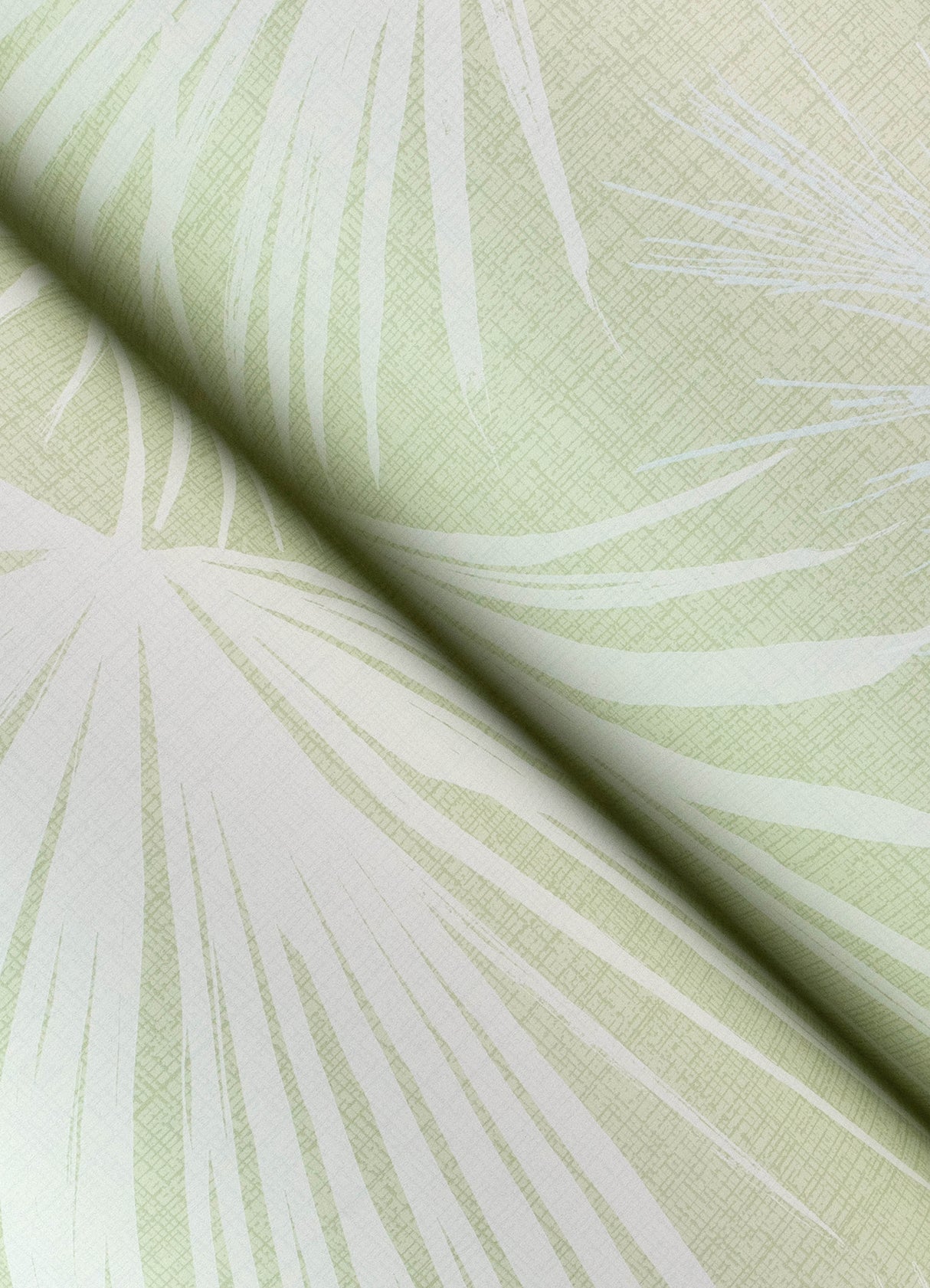 Hatteras Light Green by A-Street Prints Palms Wallpaper- A-Street Prints 4172-27490