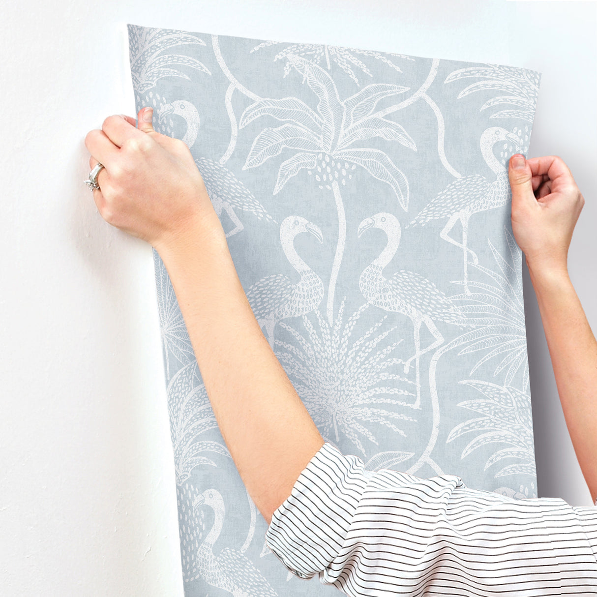 Biscayne Sky Blue by A-Street Prints Flamingo Beach Wallpaper – A-Street Prints 4172-82005