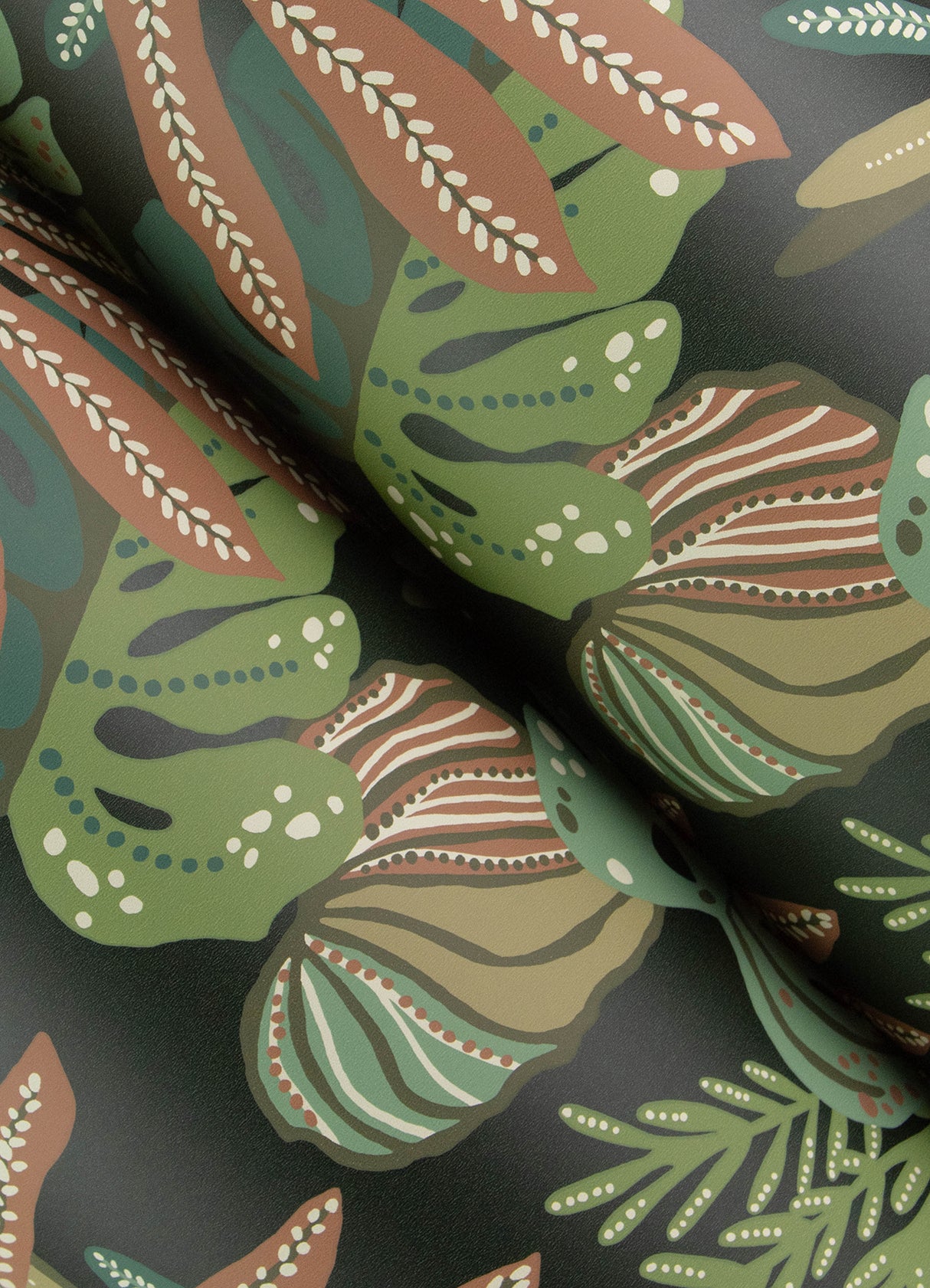 Alocasia Multicolor by A-Street Prints Tropical Foliage Wallpaper – A-Street Prints 4177-27737