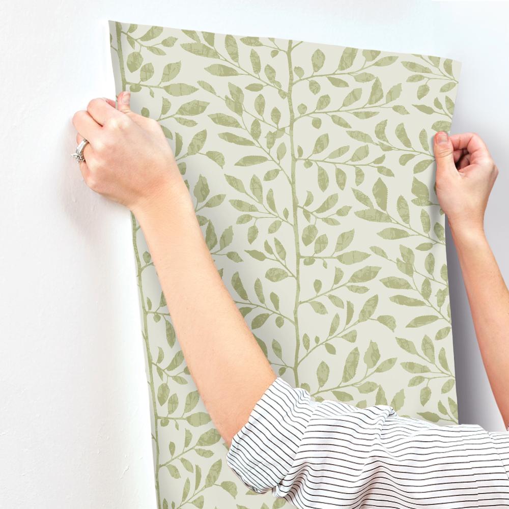 Sagecrest Sage by A-Street Prints Sapling Botanical Wallpaper- A-Street Prints 4177-83305