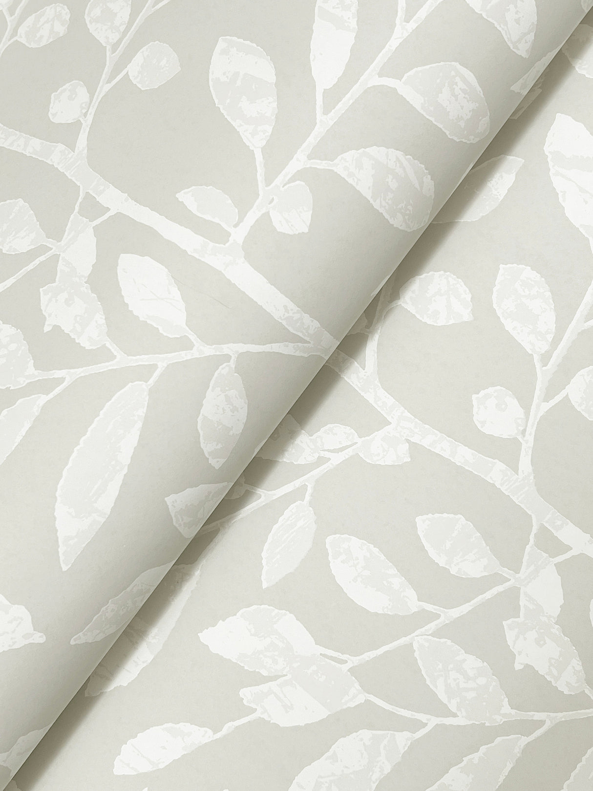 Sagecrest Light Grey by A-Street Prints Sapling Wallpaper- A-Street Prints 4177-83307
