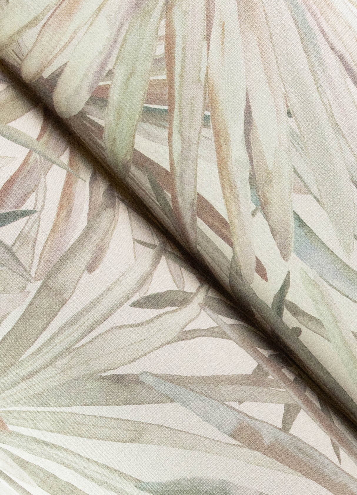Corifa Cream by A-Street Prints Palm Leaf Wallpaper – A-Street Prints 4193-7450