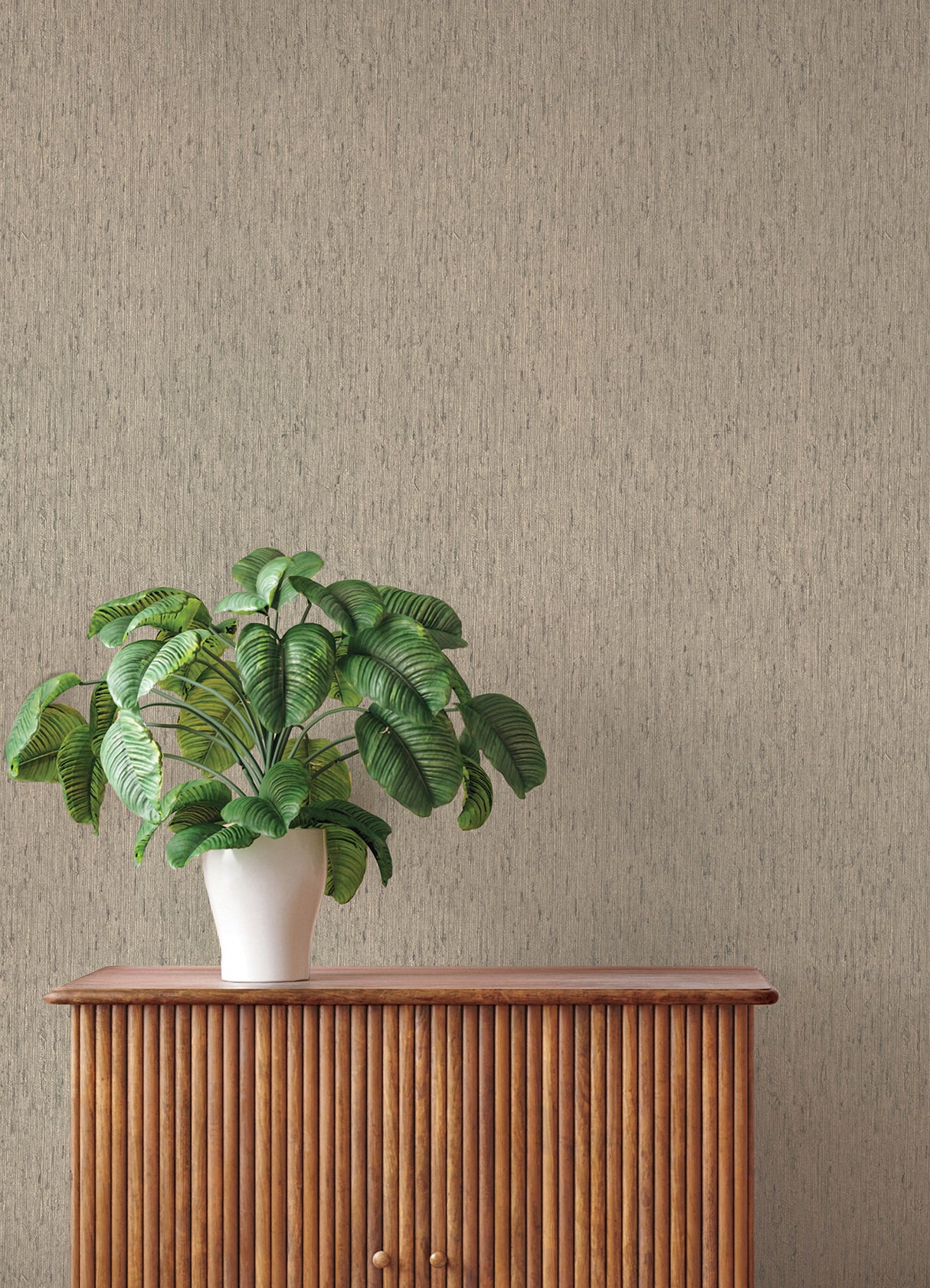 Roison Dove Birch Bark Texture Pattern Transitional Wallpaper in Grey and Beige by A-Street Prints Springhill Collection - 4202-571035