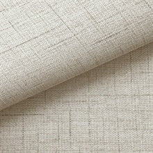 Leon Beige by Warner Faux Fabric Wallpaper – Brewster Home Fashions 4207-5419