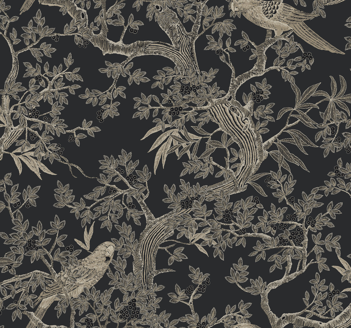 Regal Ridge Black Trailing Tree Wallpaper by Ronald Redding - 4211-83570 - Close-up of intricate black background wallpaper featuring illustrated berry-laden trees and parrots in taupe and beige tones