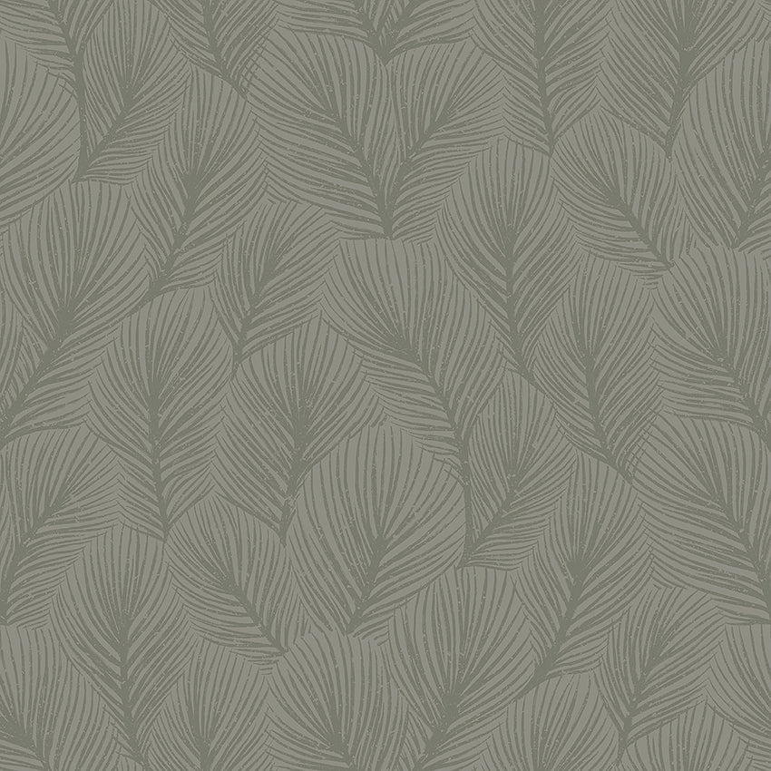 Pine Tree wallpaper in sage green by Boråstapeter for Schumacher, featuring an allover feathery pine needle pattern.
