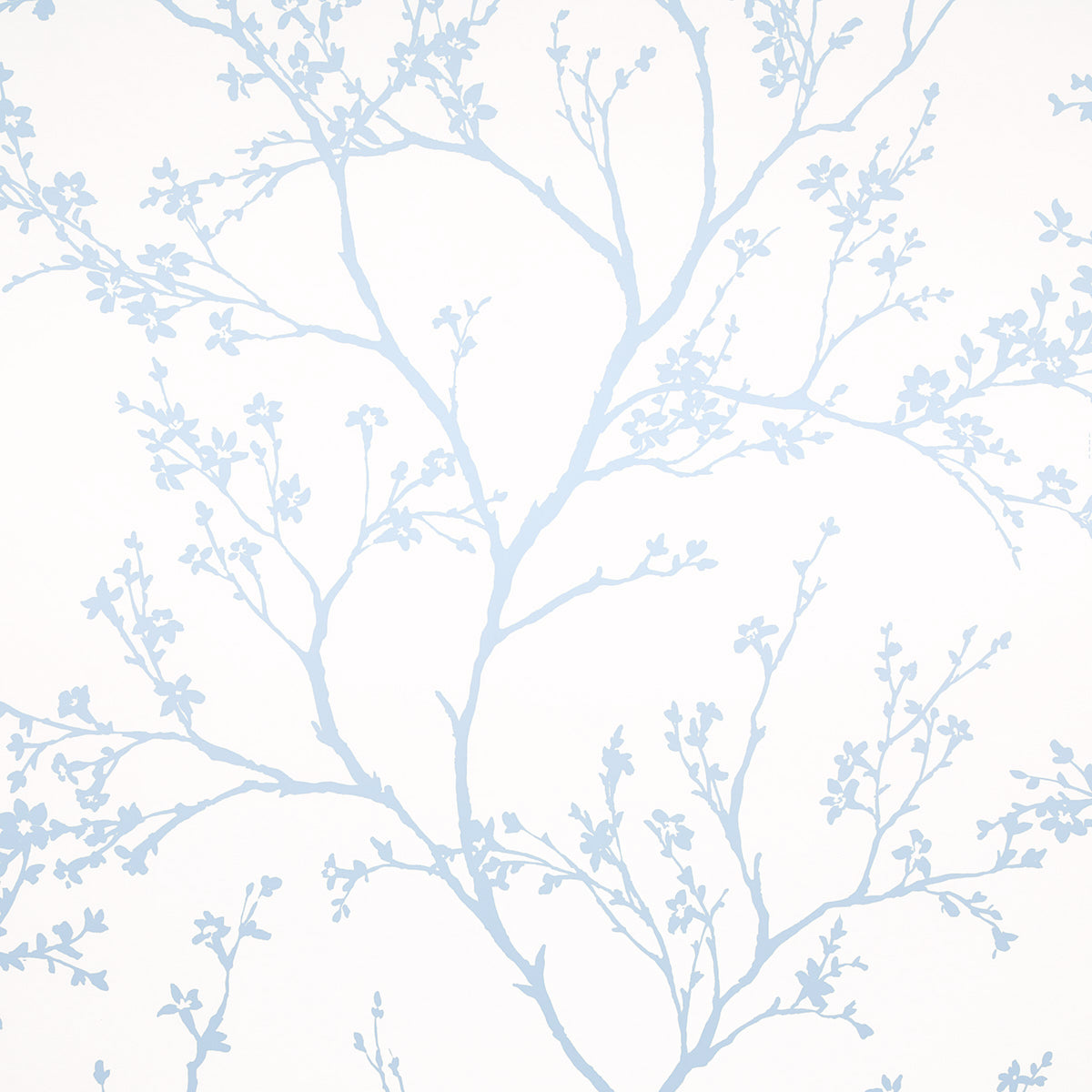 Twiggy Sky wallpaper by Schumacher features delicate blue flowering branches silhouetted against a white background, creating a serene and airy look.