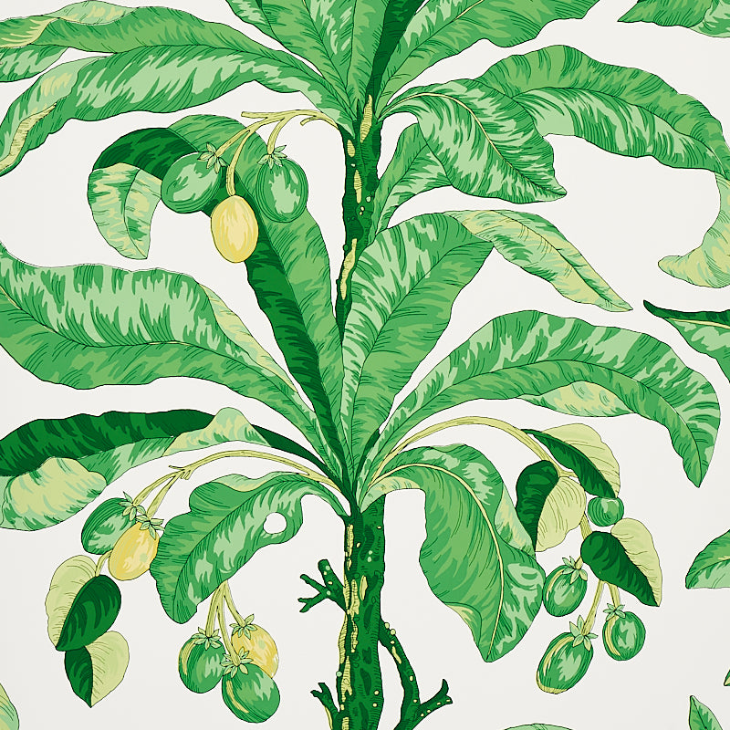 Blair House Palm wallpaper in green from Schumacher's Copacabana collection, featuring large tropical palm leaves and fruit in a bold botanical design.