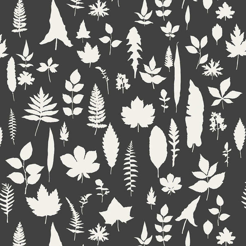 Leaves wallpaper in graphite by Schumacher featuring white botanical leaf silhouettes on a dark background.