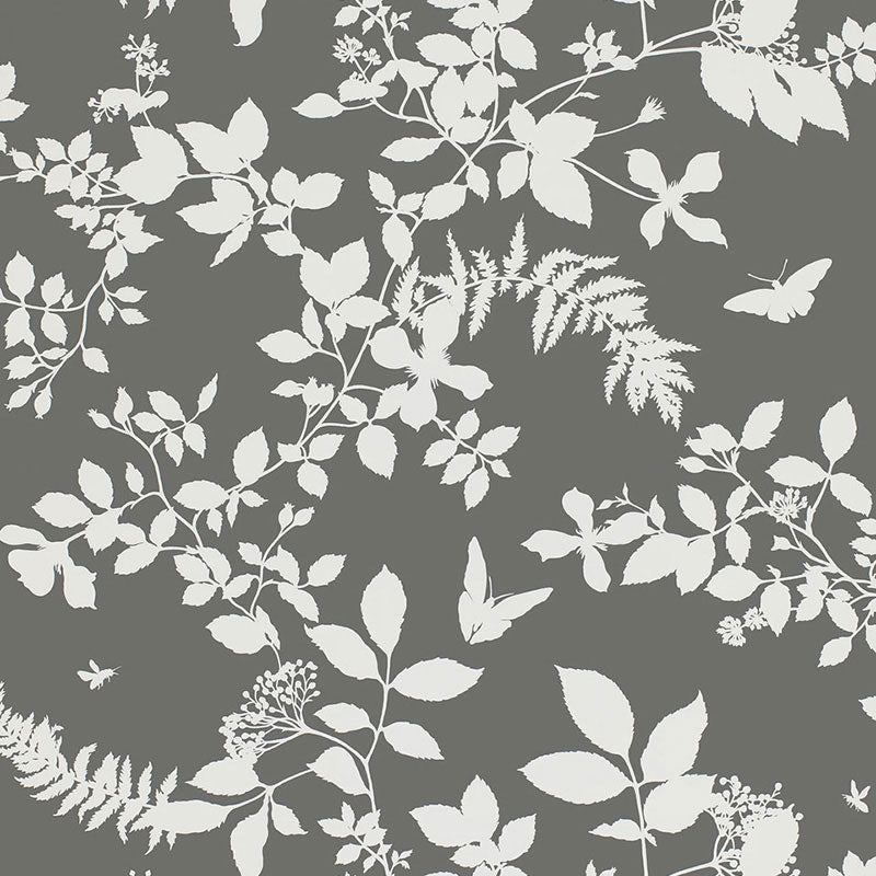 Shadow Vine Charcoal botanical wallpaper by Schumacher featuring white silhouettes of vines, leaves, and butterflies on a charcoal background.