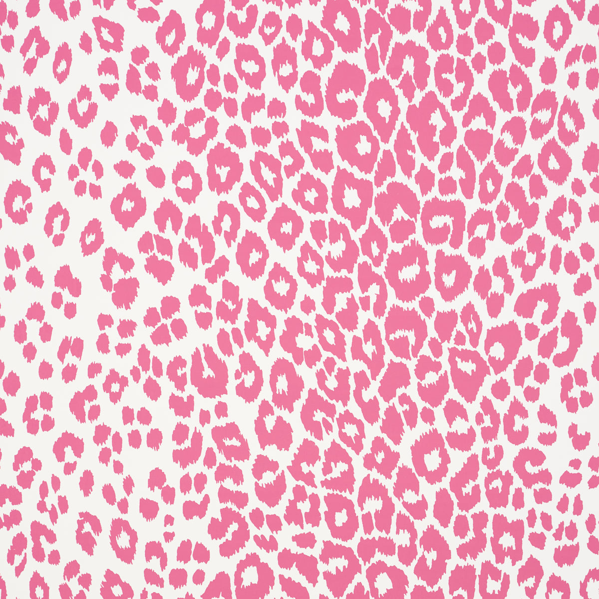 Iconic Leopard wallpaper in pink by Schumacher, featuring a bold animal print pattern in a vibrant pink and white colorway.