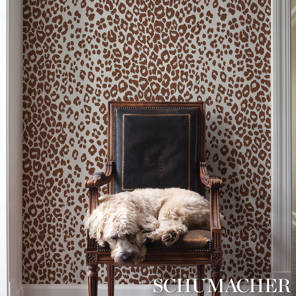 Iconic Leopard Brown by Schumacher Preppy Chic Animal Print Wallpaper – Schumacher 5007018