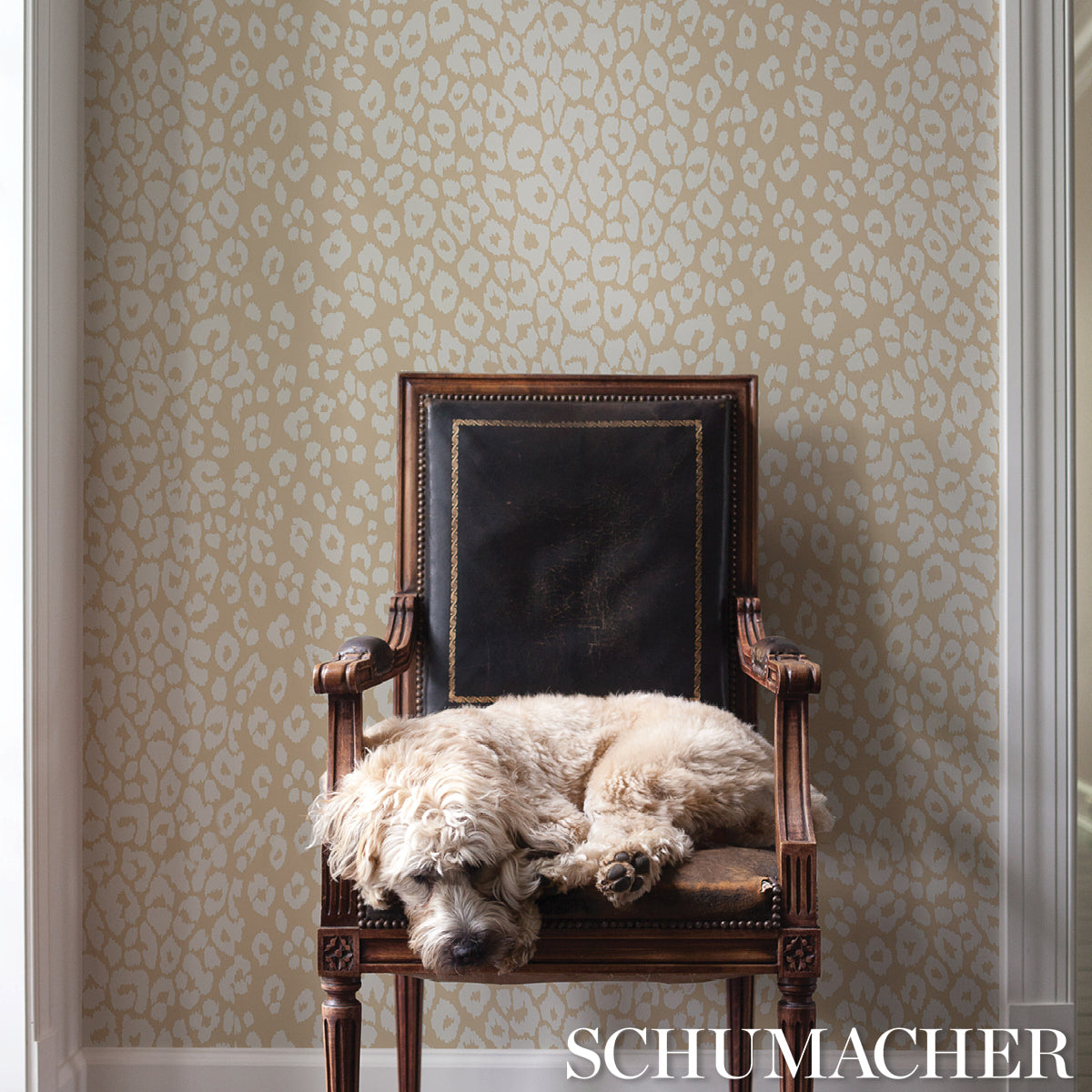 Iconic Leopard Ivory on Neutral by Schumacher Animal Print Wallpaper – Schumacher 5007020