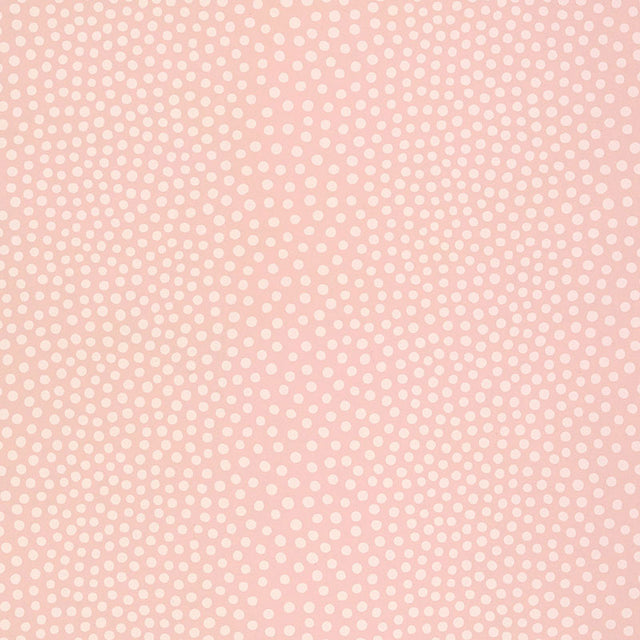 Raindots wallpaper in washed pink with irregular polka dot pattern by Schumacher
