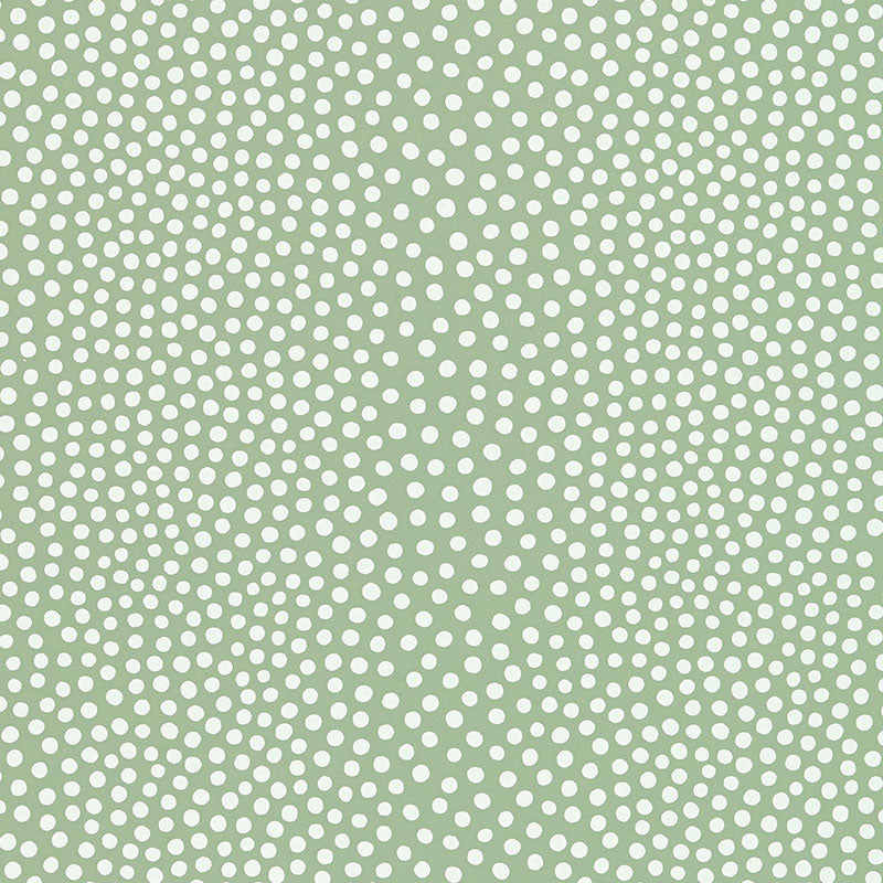 Raindots Spring irregular polka dot wallpaper by Schumacher in green and white