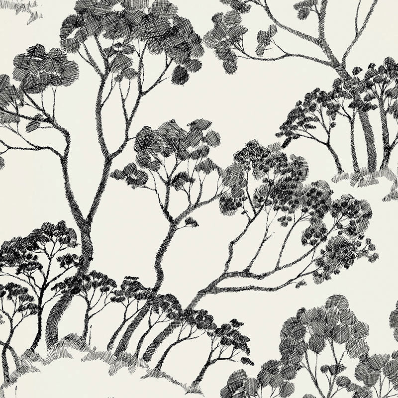 Black and white sketch-style tree wallpaper pattern from Schumacher's Drawn From Nature collection, named TIMBER !