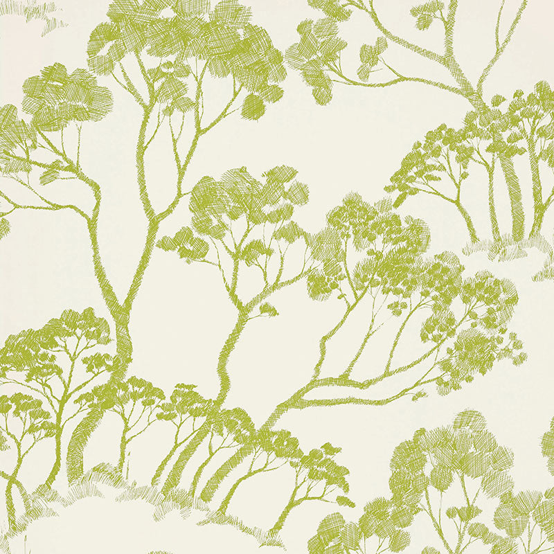 Green leafy tree sketch pattern wallpaper, Schumacher TIMBER! in Leaf colorway, nature-inspired wallcovering.