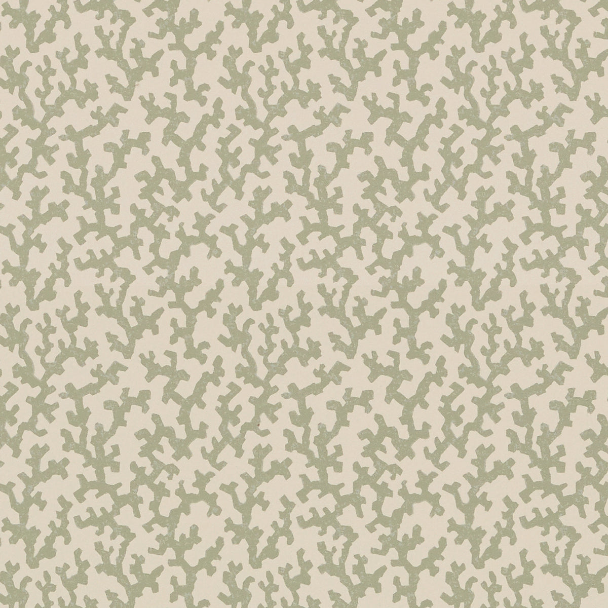 FOLLY Sage by Veere Grenney for Schumacher, coral-like allover pattern wallcovering in green on cream background