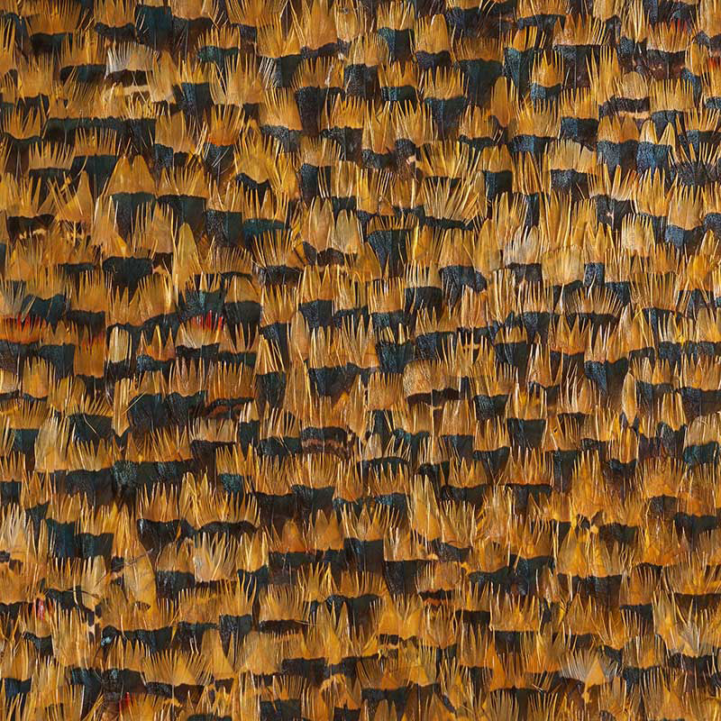 Citrine Lemon by Schumacher - Hand-applied natural feather wallcovering panel in rich yellow and brown tones