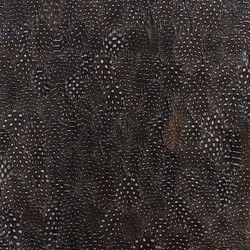 Titanium wallcovering panel in black and white with a graphic, textural feather design by Schumacher.