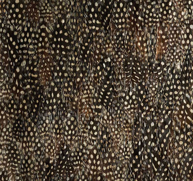 KRYPTON by Schumacher - Black Pearl feather wallcovering panel with graphic, textural spotted pattern.