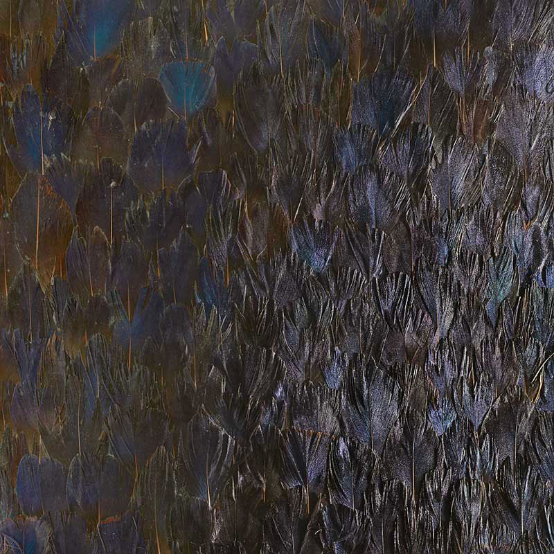 Sapphire wallcovering in bronze violet with a dense, iridescent feather pattern by Schumacher.