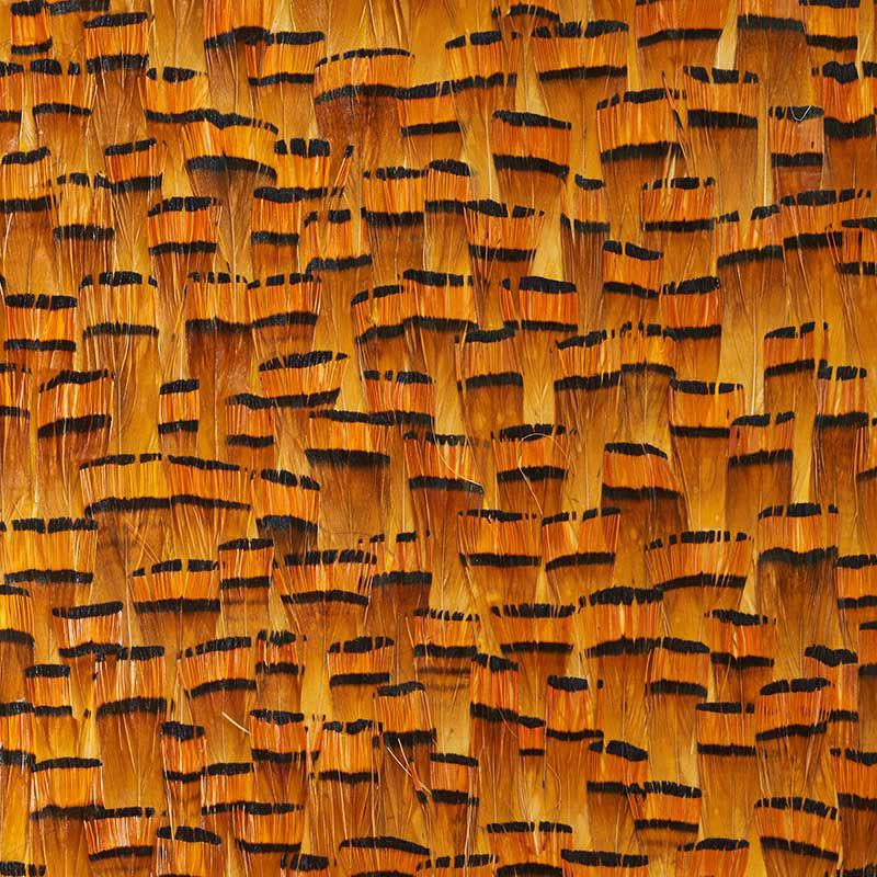Bauxite Goldenrod by Schumacher - Natural feather wallcovering with warm golden tones and broken stripe pattern